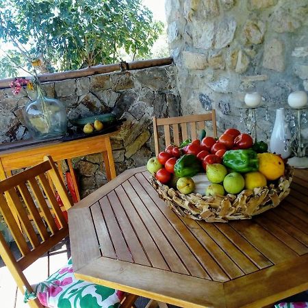 فندق Casa Do Trapo Sardoal المظهر الخارجي الصورة